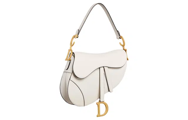 DIOR Saddle DCD