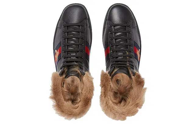 GUCCI ACE