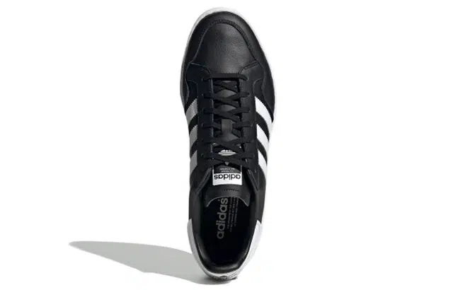 adidas originals Team Court