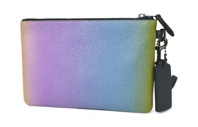 COACH Pouch 12
