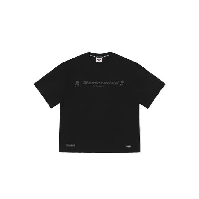 Dickies SS23 LogoT