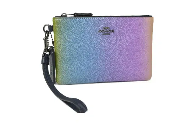 COACH Pouch 12