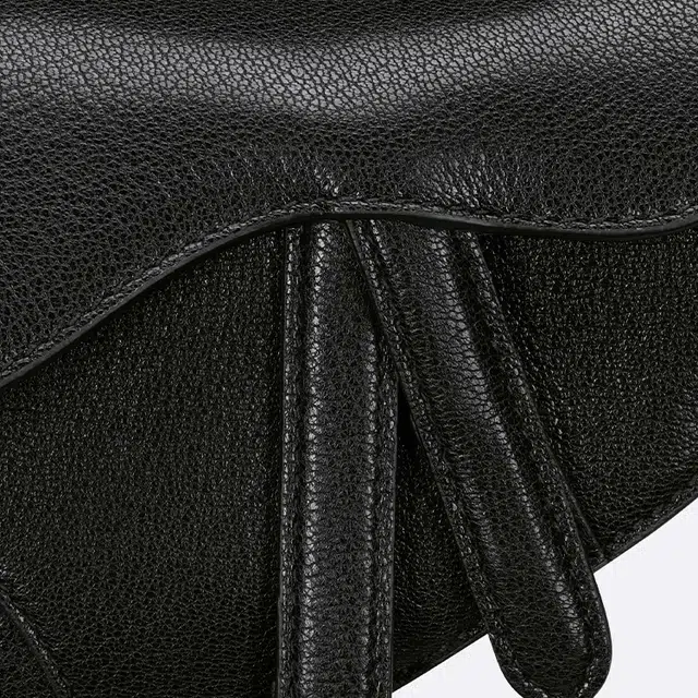 DIOR Saddle