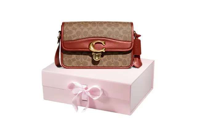 COACH Studio 25 C