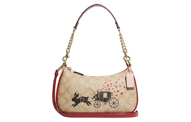 COACH Teri 25