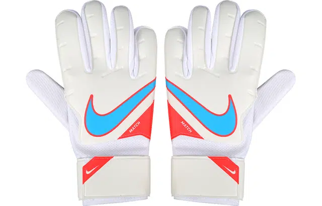 Nike Goalkeeper Match