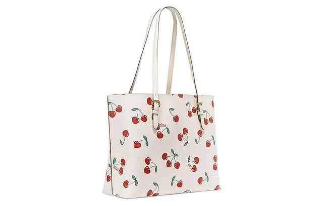 COACH Mollie 34 Tote