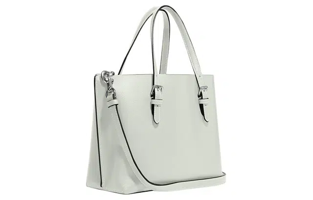 COACH Mollie 25 Logo Tote