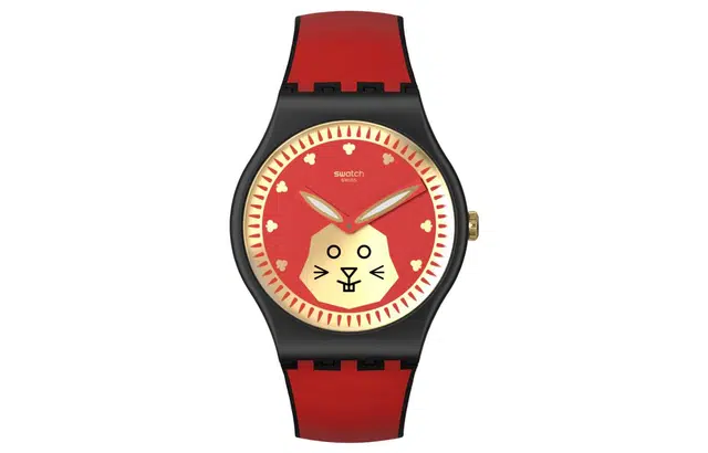 SWATCH 30 40-43mm SO32Z107