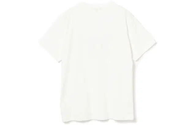beams T