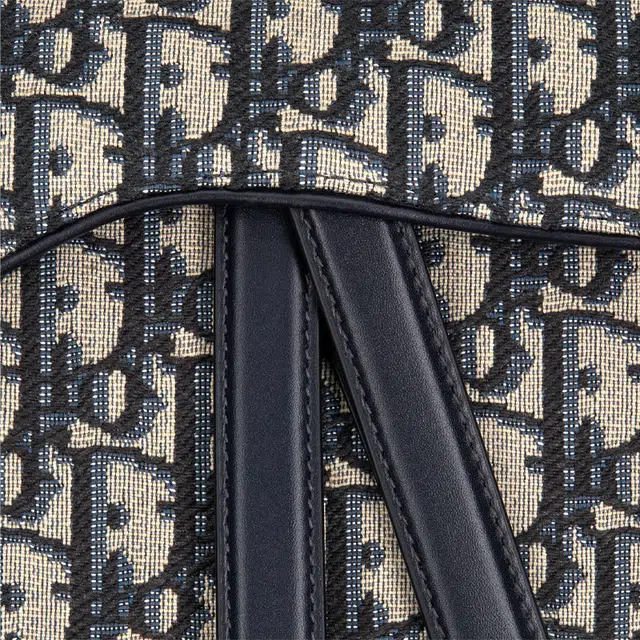 DIOR Saddle