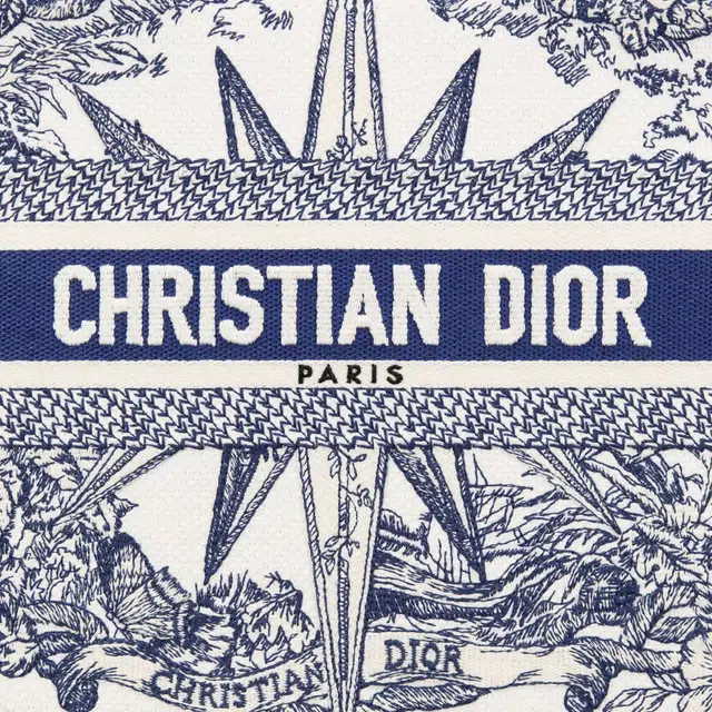 DIOR BookTote Tote