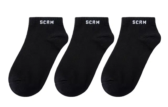 SCRM 3