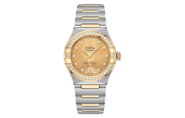 OMEGA 50 29mm 131.25.29.20.58.001