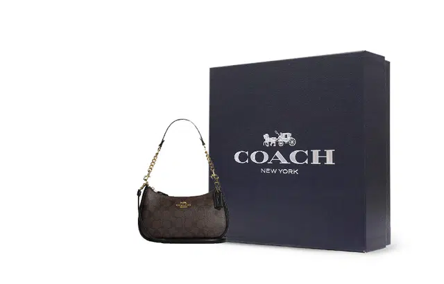 COACH Teri 25 Brown Black