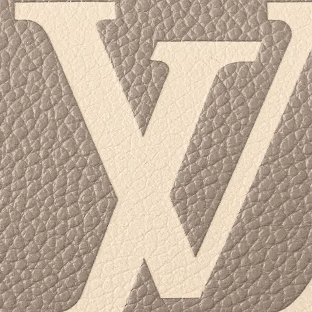 LOUIS VUITTON Speedy Bandouliere 20