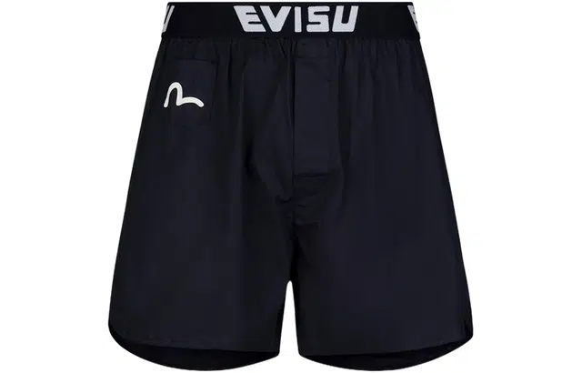 EVISU 1