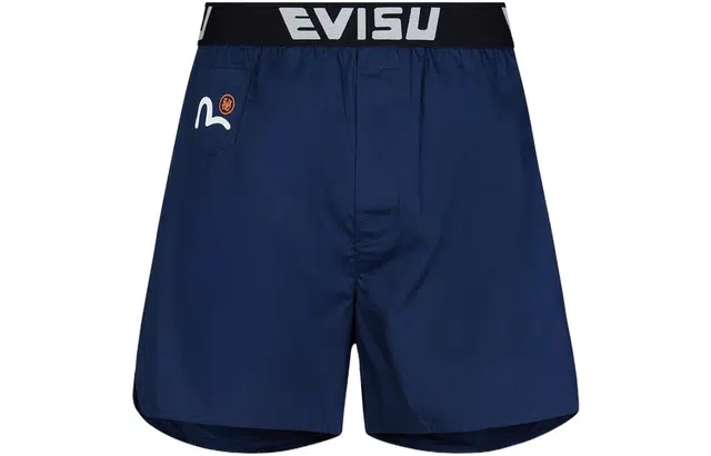 EVISU 2