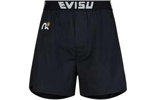 EVISU 2