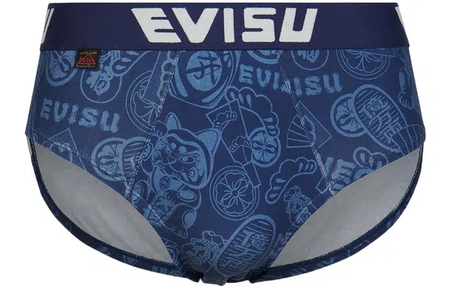 EVISU 1