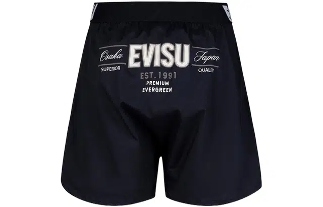 EVISU 1