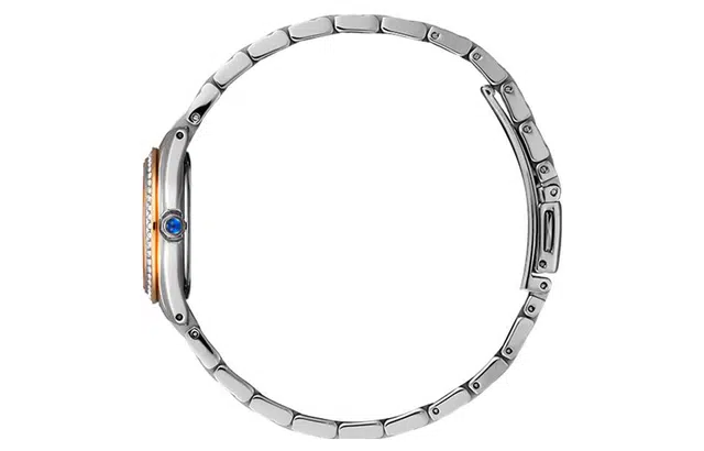 CITIZEN 27mm EW2556-83Y