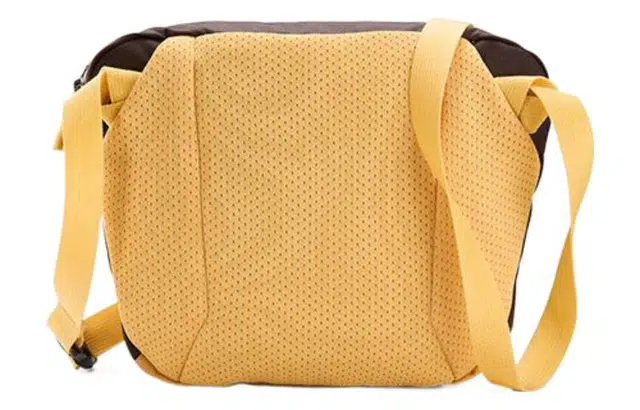 Arcteryx Mantis 2L
