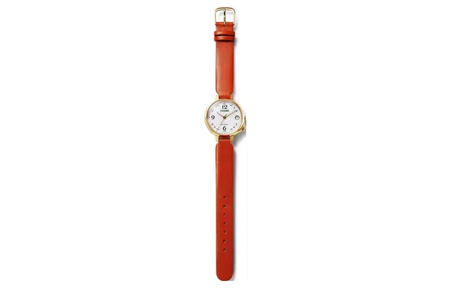 CITIZEN 33mm EE4018-13A