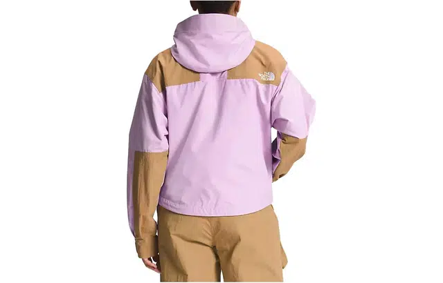 The North Face Low-Fi Hi-Tek Hoodie Pink