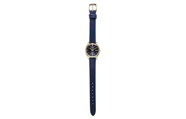 CITIZEN 50 EW2662-19L