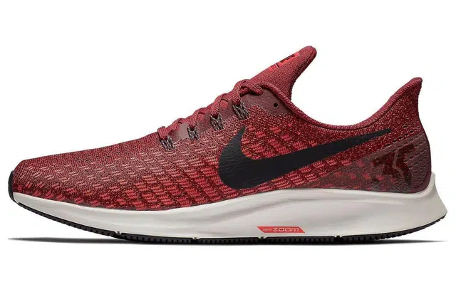 Nike Air Zoom Pegasus 35