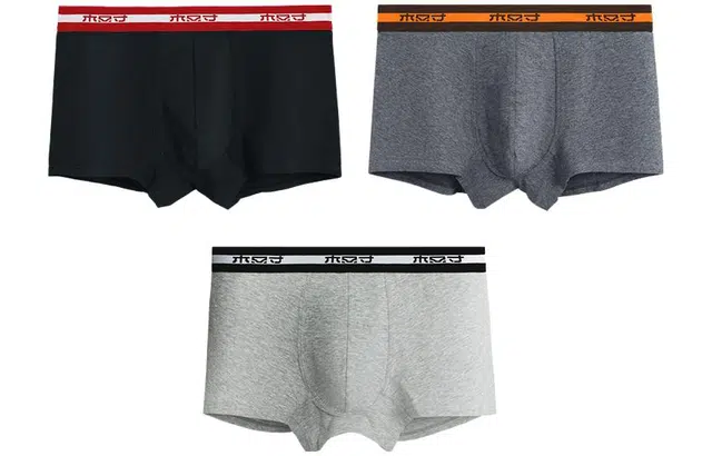 有棵树 四季款撞色短裤 内裤男士纯棉男士内裤 裤子春夏天内裤男礼盒装平角内裤 男款 独立包装