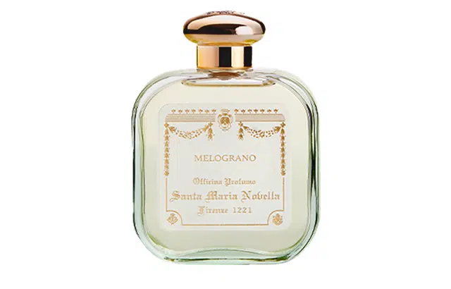 Santa Maria Novella EDC