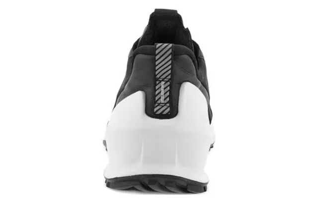 ecco 2.0