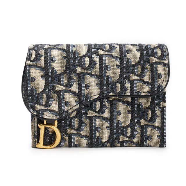 DIOR Saddle Oblique