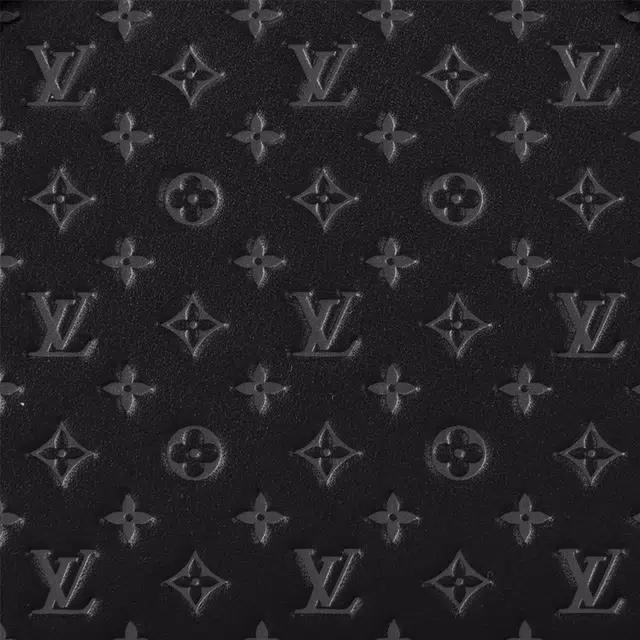 LOUIS VUITTON Speedy 20