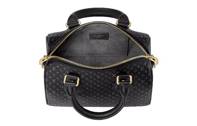 LOUIS VUITTON Speedy 20