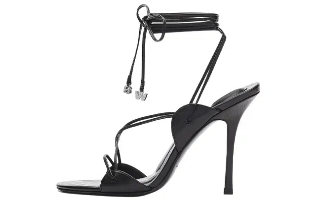 alexander wang 10.5cm