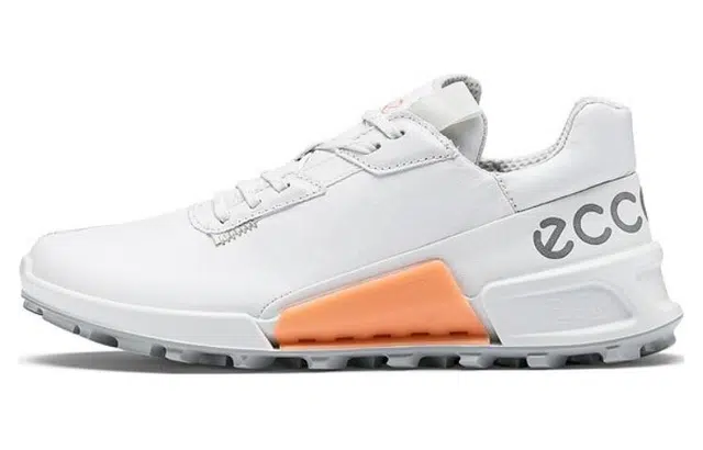 ecco 2.1