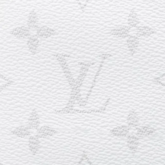 LOUIS VUITTON Brazza