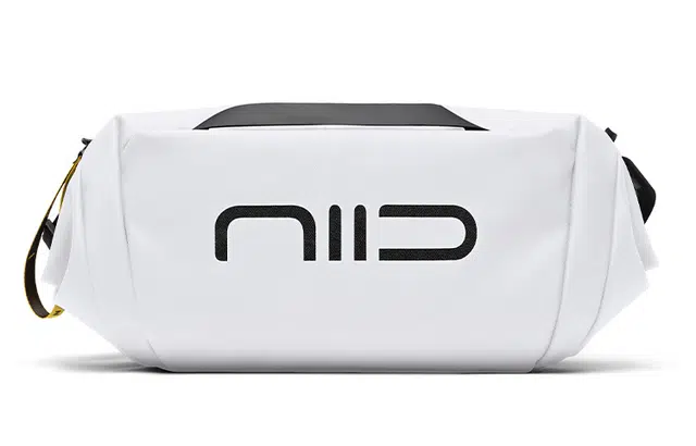 NIID STATEMENT6