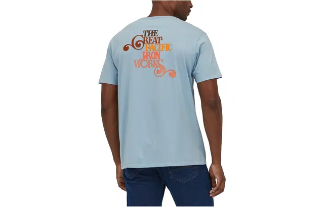 patagonia T