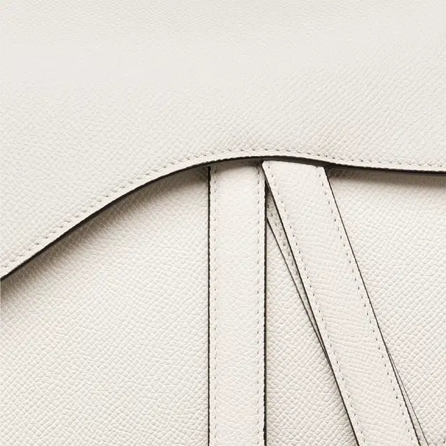 DIOR Saddle DCD