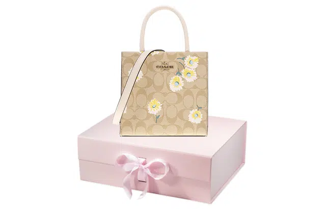 COACH Cally 17 Tote