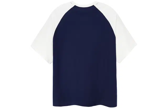 ICONS Lab SS23 icsT