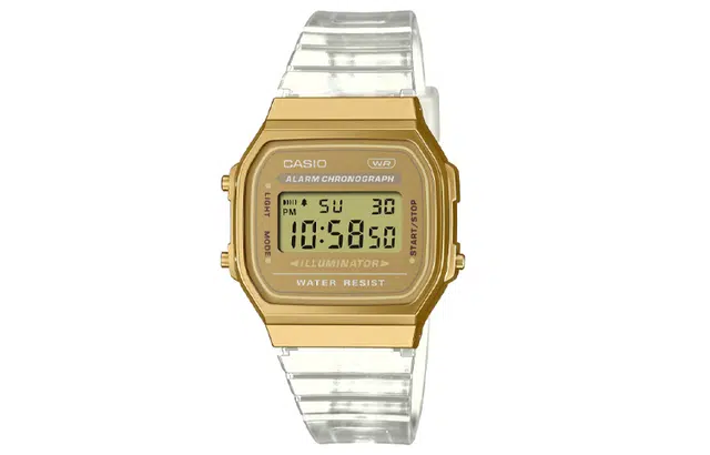 CASIO vantage A168XESG-9A