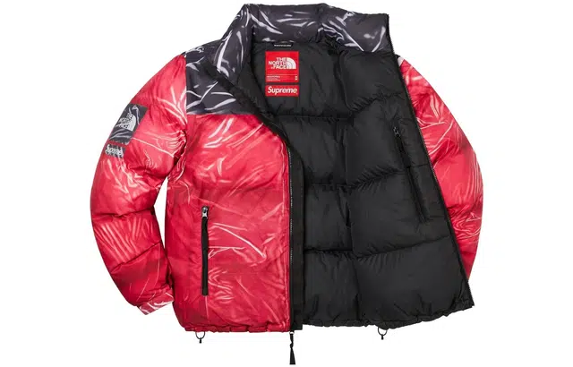 Supreme x The North Face Printed Nuptse Jacket