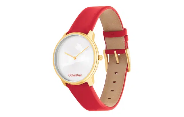CKCalvin Klein 25200219