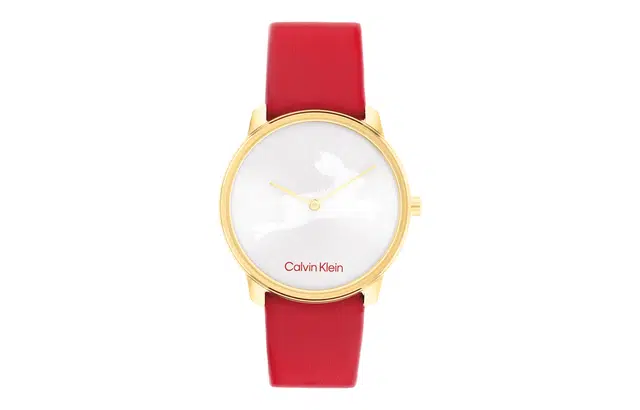 CKCalvin Klein 25200219