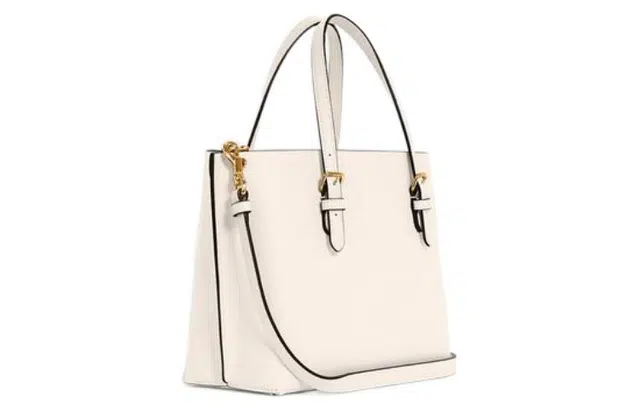 COACH Mollie 25 Tote